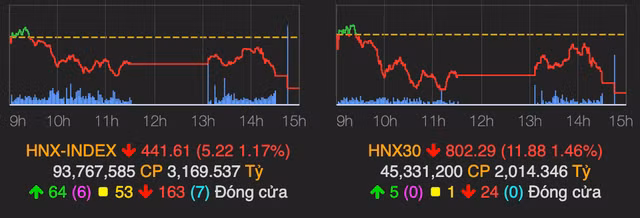 Luc ban manh xuat hien, VN-Index lao doc 20 diem ve cuoi phien-Hinh-2