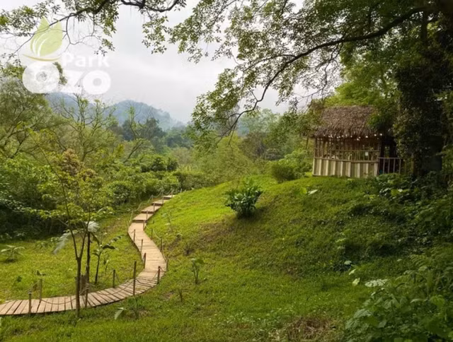 Chiem dat, xay khu du lich 'lau' giua long di san Phong Nha - Ke Bang-Hinh-2