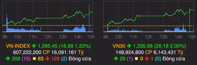 VN-Index tang manh 17 diem nho nhom von hoa lon
