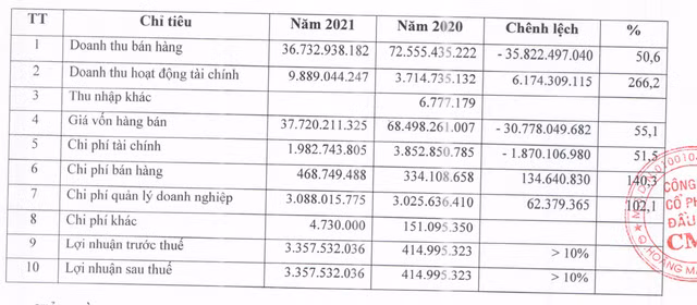 CMC lai mong 3,4 ty dong trong nam 2021