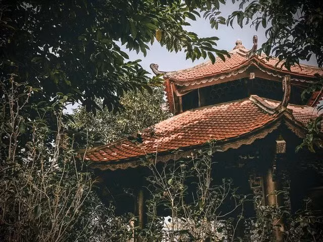 Can canh biet phu go lim rong 1.000m2 o Nam Dinh-Hinh-3