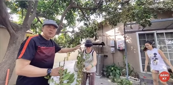 Chi tiet khu vuon ngap cay trai cua NSUT Bao Quoc tai My-Hinh-4