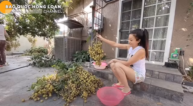 Chi tiet khu vuon ngap cay trai cua NSUT Bao Quoc tai My-Hinh-6