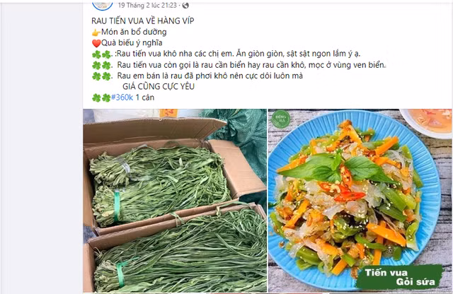 Bí ẩn loại rau 'tiến vua' đắt hơn thịt Bi an loai rau 'tien vua' dat hon thit