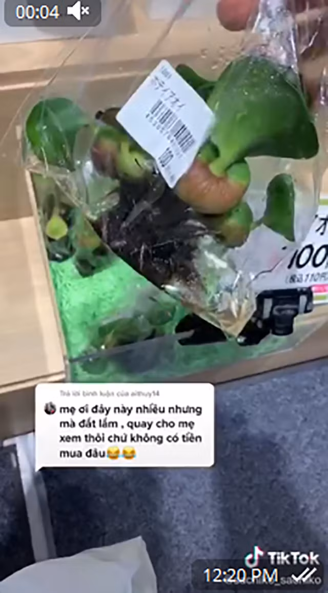 Những thứ 'rẻ như cho' ở Việt Nam nhưng sang Nhật giá ngất ngưởng Nhung thu 're nhu cho' o Viet Nam nhung sang Nhat gia ngat nguong