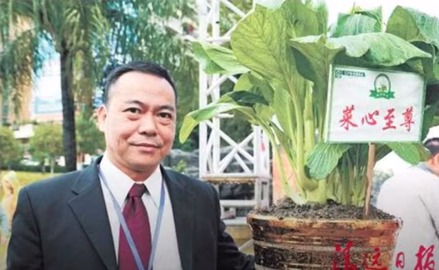 Trên thế giới có những loại rau đắt hơn vàng - Hình 2 Tren the gioi co nhung loai rau dat hon vang-Hinh-2