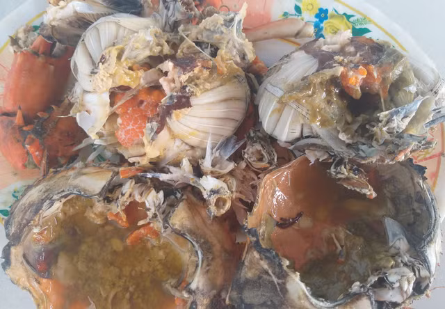 Cua biển Cà Mau giá 1 triệu đồng/kg dịp Tết - Hình 4 Cua bien Ca Mau gia 1 trieu dong/kg dip Tet-Hinh-4