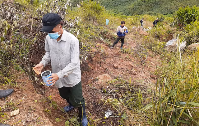 Bất ngờ với bọ 3 sọc có độc tố nhưng thương lái thu mua giá 2 triệu/kg - Hình 2 Bat ngo voi bo 3 soc co doc to nhung thuong lai thu mua gia 2 trieu/kg-Hinh-2