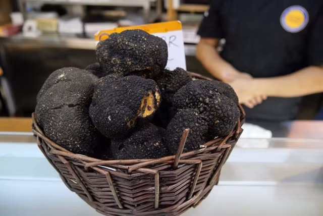 Nấm truffle được ví như "kim cương" trong ẩm thực - Hình 11 Nam truffle duoc vi nhu