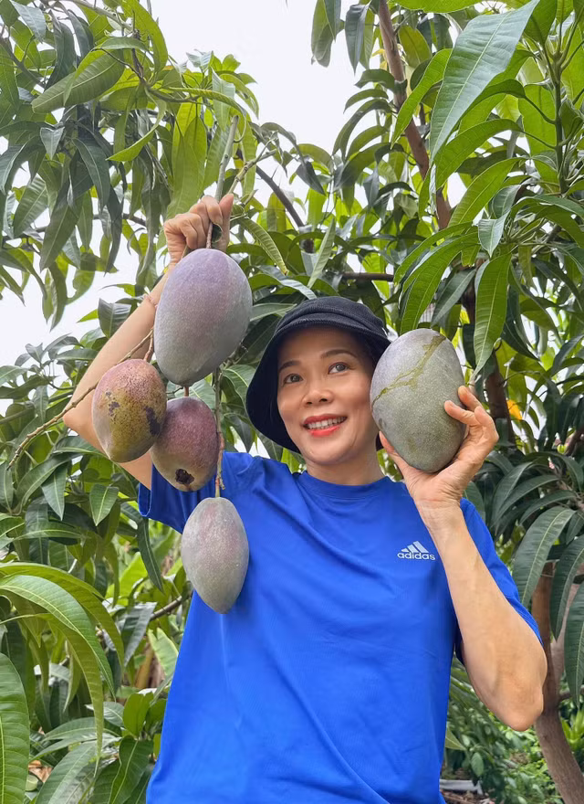 Ca sĩ Mỹ Lệ sở hữu một khu vườn tràn ngập hoa và trái cây - Hình 2 Ca si My Le so huu mot khu vuon tran ngap hoa va trai cay-Hinh-2