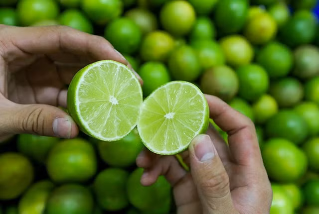7 loại quả không hạt đắt như tôm tươi dành cho giới nhà giàu - Hình 11 7 loai qua khong hat dat nhu tom tuoi danh cho gioi nha giau-Hinh-11