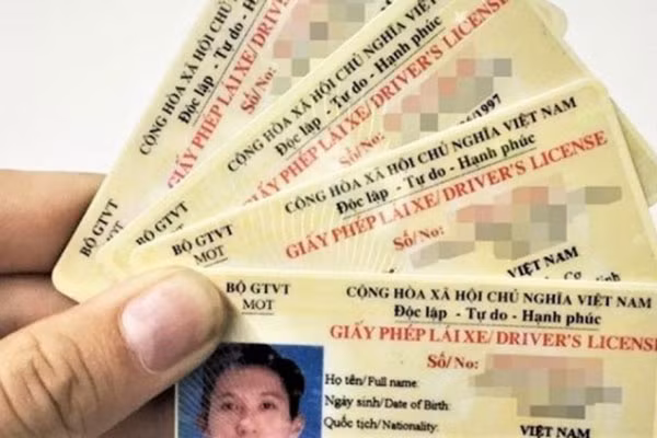 Website giả mạo trang tra cứu thông tin giấy phép lái xe Website gia mao trang tra cuu thong tin giay phep lai xe