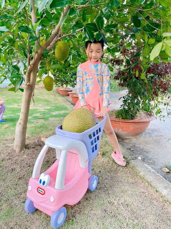Biet thu tua miet vuon cua Oc Thanh Van-Hinh-5