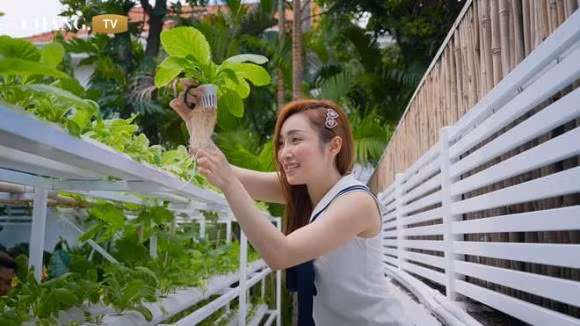 Đi xem khu vườn xanh mướt của vợ chồng Chi Bảo - Hình 3 Di xem khu vuon xanh muot cua vo chong Chi Bao-Hinh-3