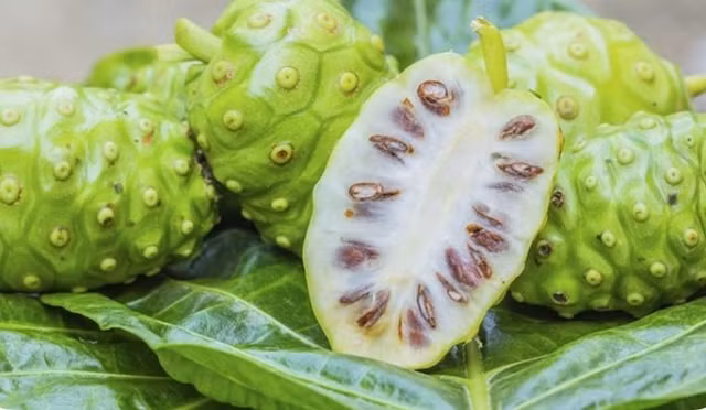 Von la qua dai, trai nhau va ban gio thanh dac san xuat khau-Hinh-3