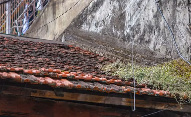 Can canh nha go lim tram tuoi “doc nhat” pho co Ha Noi-Hinh-11