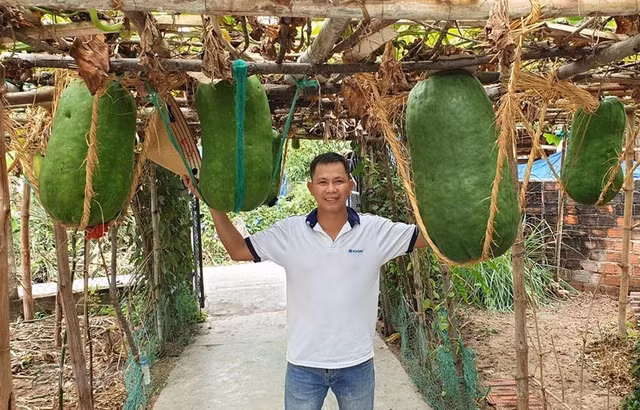 Can canh lang bi dao khong lo o Binh Dinh