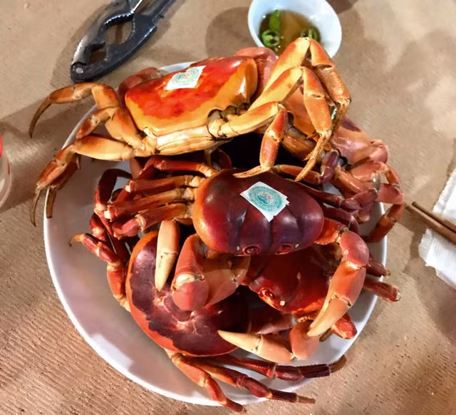 Loài cua lạ thơm mùi thuốc bắc, 2 triệu đồng/kg vẫn “cháy hàng“ - Hình 9 Loai cua la thom mui thuoc bac, 2 trieu dong/kg van “chay hang“-Hinh-9