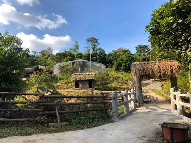Cơ ngơi khủng của 3 “ông hoàng nhạc đỏ” Việt Nam - Hình 2 Co ngoi khung cua 3 “ong hoang nhac do” Viet Nam-Hinh-2