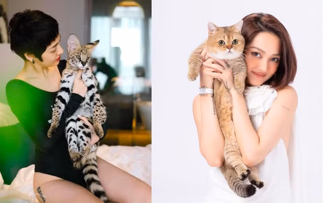 Ca si Bao Anh so huu khoi tai san dang mo uoc o tuoi 31-Hinh-11