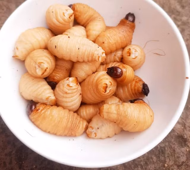 Khám phá 4 đặc sản rùng mình nhưng vẫn hút khách Kham pha 4 dac san rung minh nhung van hut khach