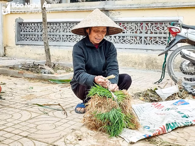 Thú vị phiên chợ bán lúa non độc lạ ở Nghệ An - Hình 6 Thu vi phien cho ban lua non doc la o Nghe An-Hinh-6