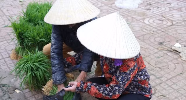 Thú vị phiên chợ bán lúa non độc lạ ở Nghệ An - Hình 10 Thu vi phien cho ban lua non doc la o Nghe An-Hinh-10