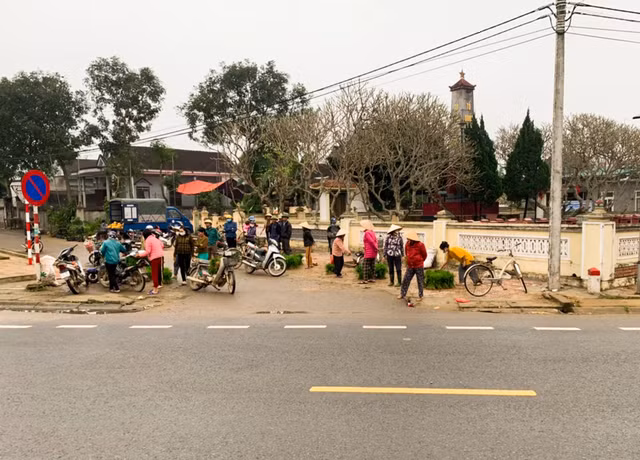 Thú vị phiên chợ bán lúa non độc lạ ở Nghệ An - Hình 2 Thu vi phien cho ban lua non doc la o Nghe An-Hinh-2