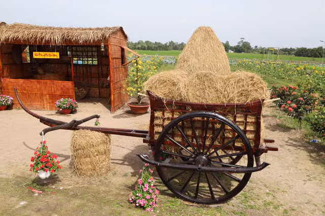 Cận cảnh khu sinh thái Phố Ông Lang rộng hơn 10.000 m2 - Hình 8 Can canh khu sinh thai Pho Ong Lang rong hon 10.000 m2-Hinh-8