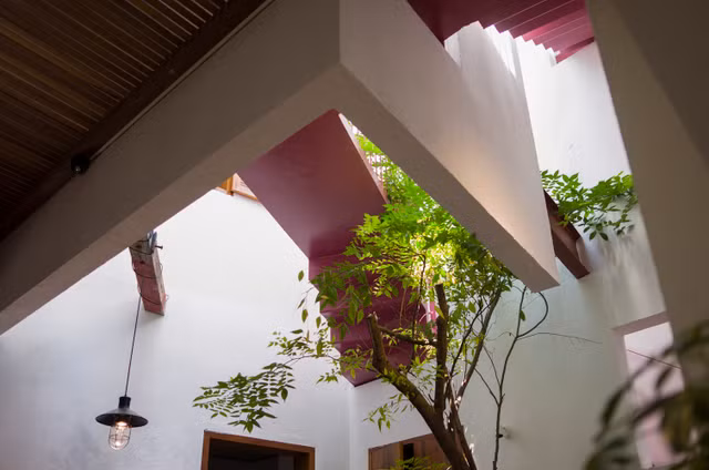 Ngỡ ngàng ngôi nhà ở Đà Nẵng đặt vườn cây trong bếp lên báo Mỹ - Hình 3 Ngo ngang ngoi nha o Da Nang dat vuon cay trong bep len bao My-Hinh-3