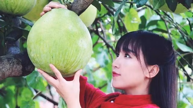 'Tiên nữ đồng quê' Lý Tử Thất thu nhập khủng cỡ nào? - Hình 9 'Tien nu dong que' Ly Tu That thu nhap khung co nao?-Hinh-9