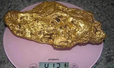 Nguoi dan ong dao duoc cuc vang khong lo nang 10kg-Hinh-6