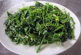 Loài rau bỏ hoang nay được xuất khẩu sang Mỹ với giá cao - Hình 5 Loai rau bo hoang nay duoc xuat khau sang My voi gia cao-Hinh-5