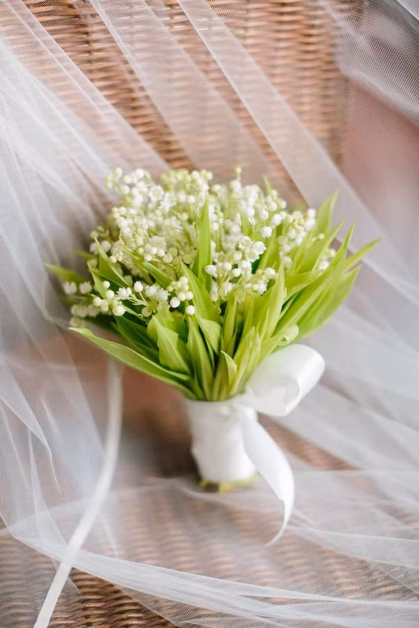Linh lan được xếp thứ 9 trong top 10 loài hoa đắt nhất thế giới - Hình 4 Linh lan duoc xep thu 9 trong top 10 loai hoa dat nhat the gioi-Hinh-4