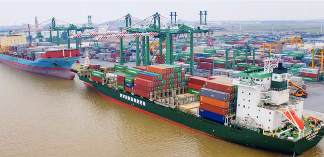 Viconship du chi hon 2.000 ty dong vao cang Nam Hai Dinh Vu?