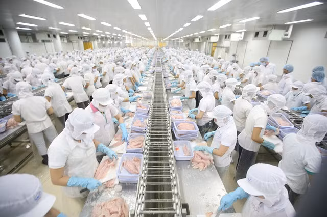 Agrex Sài Gòn bị phạt và truy thu thuế hơn 700 triệu đồng Agrex Sai Gon bi phat va truy thu thue hon 700 trieu dong