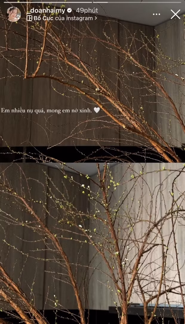 Noi o nhieu hoa tuoi cua cap vo chong son Doan Van Hau - Doan Hai My