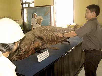 Nhiều người không đủ dũng khí làm các công việc này dù lương rất cao - Hình 9 Nhieu nguoi khong du dung khi lam cac cong viec nay du luong rat cao-Hinh-9