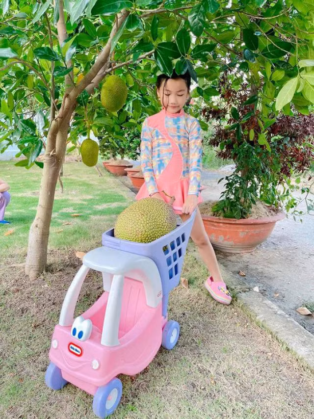 Toan canh biet thu nhu resort cua Oc Thanh Van-Hinh-9