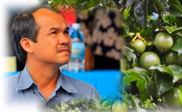 Tình cảnh hiện nay của 3 đại gia đổ tiền vào làm nông nghiệp Tinh canh hien nay cua 3 dai gia do tien vao lam nong nghiep