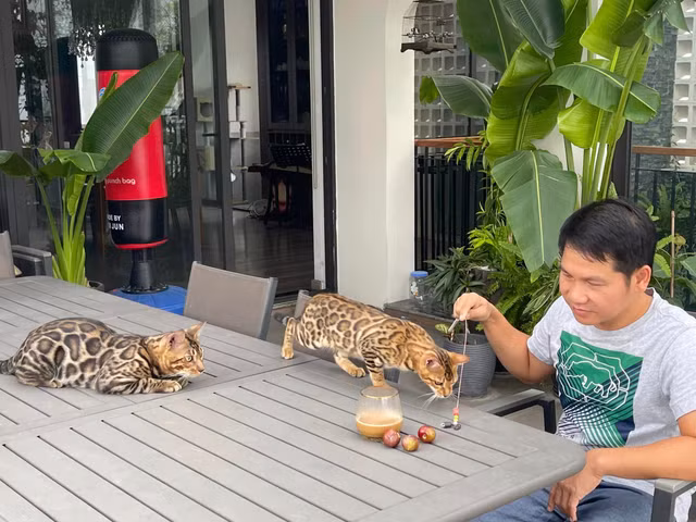 Chi tiet co ngoi bac ty giua pho cua ca si Trong Tan-Hinh-10