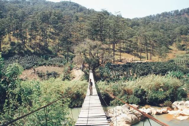 Cầu treo đẹp trong tranh ở Đà Lạt khiến giới trẻ phát cuồng Cau treo dep trong tranh o Da Lat khien gioi tre phat cuong