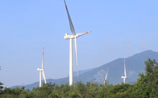 Có 4 dự án bị yêu cầu cung cấp hồ sơ, Tân Hoàn Cầu hoạt động thế nào? - Hình 3 Co 4 du an bi yeu cau cung cap ho so, Tan Hoan Cau hoat dong the nao?-Hinh-3