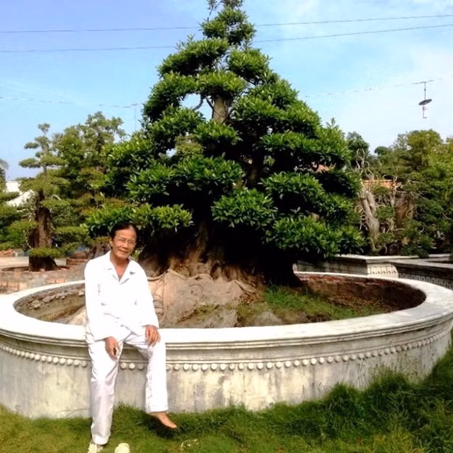 Đi xem cặp cây cảnh giá hơn trăm tỷ của đại gia Tây Ninh Di xem cap cay canh gia hon tram ty cua dai gia Tay Ninh