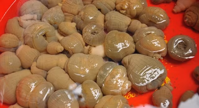 Chay hang rum bien 'than duoc quy ong' du gia rat cao-Hinh-9