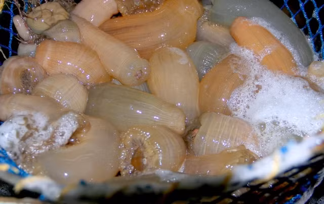 Cháy hàng rum biển 'thần dược quý ông' dù giá rất cao Chay hang rum bien 'than duoc quy ong' du gia rat cao
