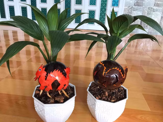 Doc dao Rong vang om dua bonsai don Tet Giap Thin 2024-Hinh-4