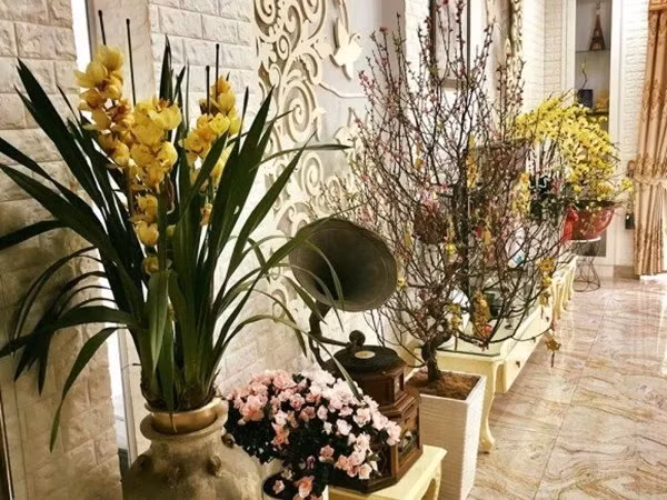 Tận mục biệt thự ngập hoa trái của Lý Hùng - Lê Tuấn Anh - Hình 12 Tan muc biet thu ngap hoa trai cua Ly Hung - Le Tuan Anh-Hinh-12