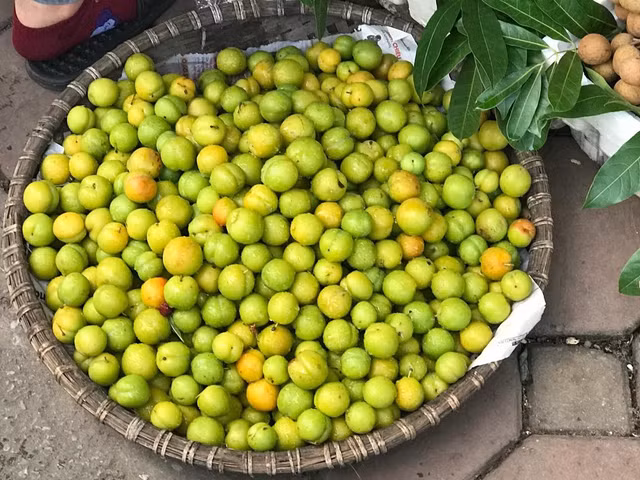 Cách phân biệt mận Trung Quốc và mận Việt Nam - Hình 4 Cach phan biet man Trung Quoc va man Viet Nam-Hinh-4