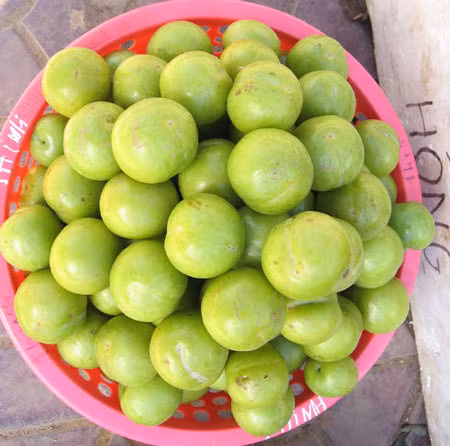 Cách phân biệt mận Trung Quốc và mận Việt Nam - Hình 6 Cach phan biet man Trung Quoc va man Viet Nam-Hinh-6
